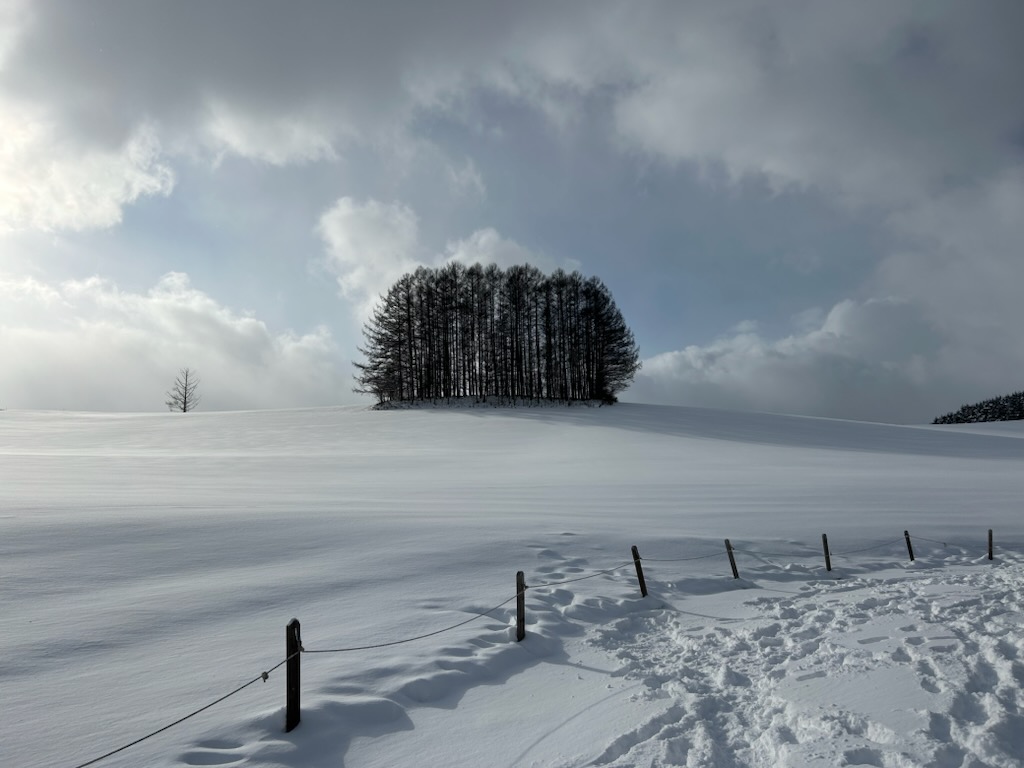 第2のマイルドセブンの丘