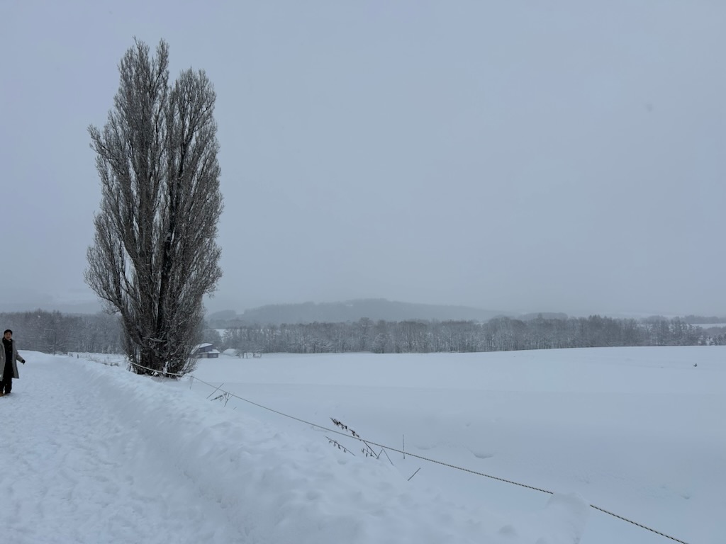 ケンとマリーの木