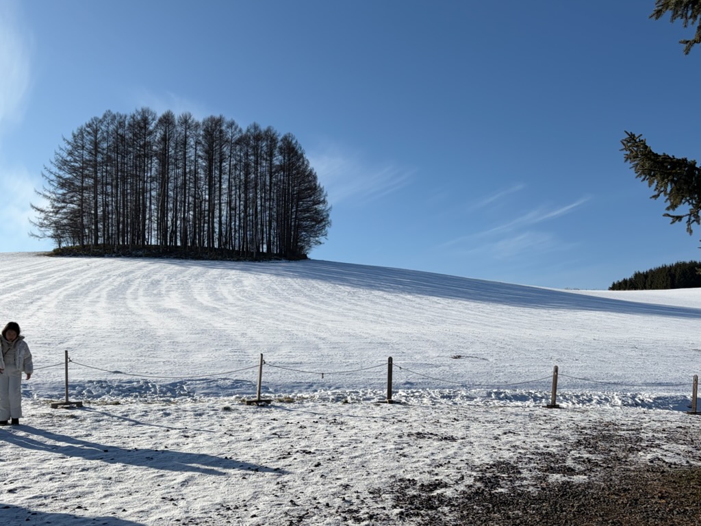 ��2�̃}�C���h�Z�u���̋u