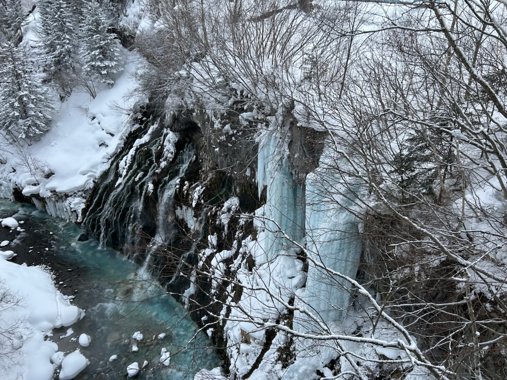 ���Ђ��̑�