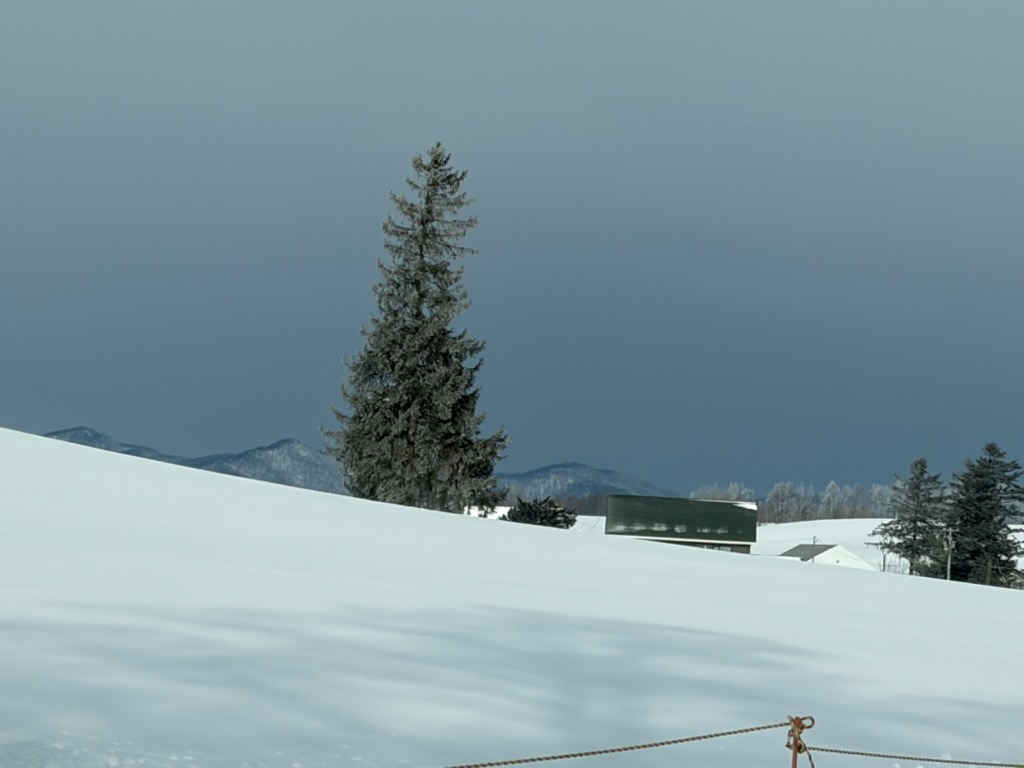 �N���X�}�X�c���[�̖�