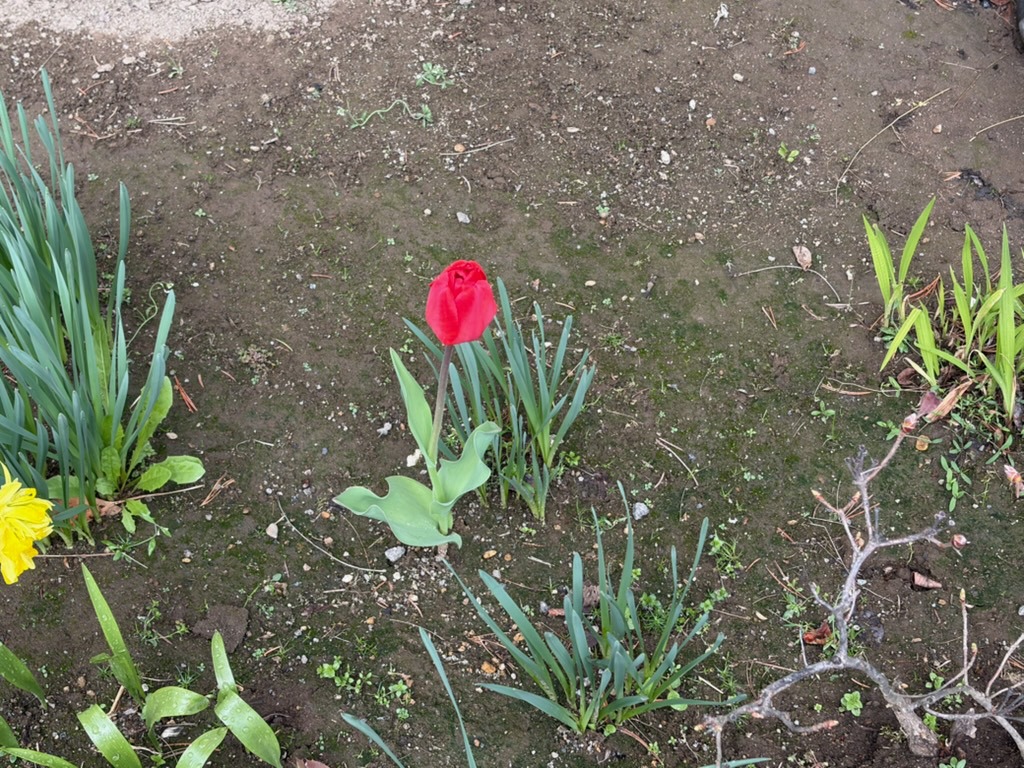 �`���[���b�v