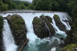 �s���E�^���̑�