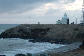 �[���z��