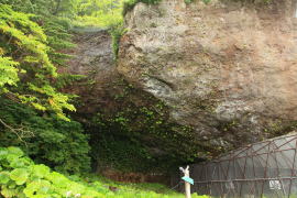 �}�b�J�E�X���A