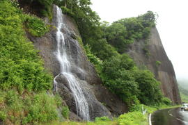 �Z�Z�L�̑�