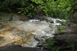 �J���C���b�J�̑�