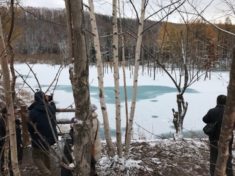 �~�̓����̐��r