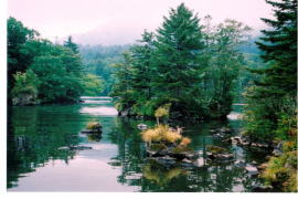 阿寒湖の雄阿寒岳登山口の風景