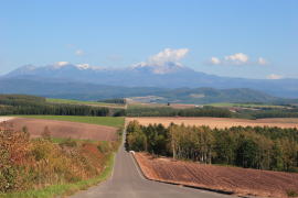 �H�̏A���̋u�E����