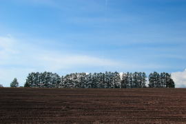 �H�̃}�C���h�Z�u���̋u