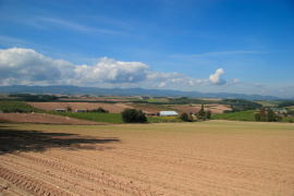 �H�̋u�̕��i