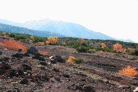 �H�̖]�x��