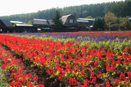 �t�@�[���x�c�E�Ԕ�