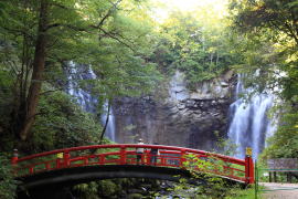 �A�V���x�c�̑�