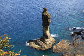 ���Y�q��