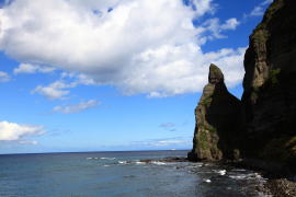 �Z�^�J���C��