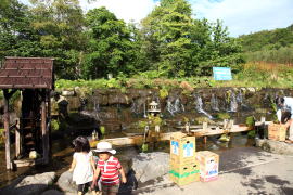 �r���R�̕�����