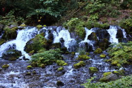 �ӂ���������