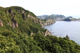 �}�X�C�`�l