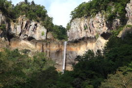 �C���N���̑�