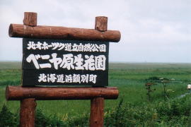 �x�j�������ԉ��E�l�ڕ�