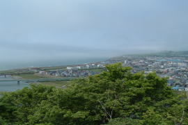 �^�̌����W�]��