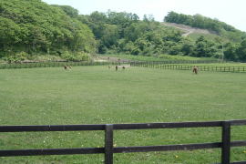 �T���u���b�h���