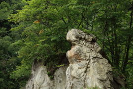 ���q����