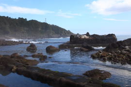 �����C�l����