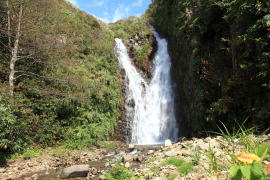 �݂�����̑�