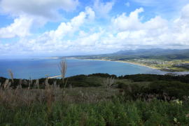 �Ή��R���猩���]������