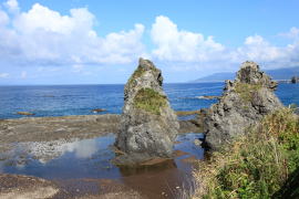 ����C�݂̊���