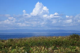 ����������̉��K���̕��i