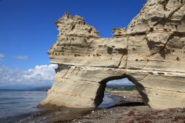 �������