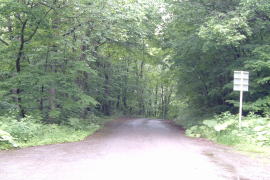 �`�~�P�b�v�΂ւ̗ѓ�����