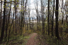 �t�̓ˏ��R�̎U���H