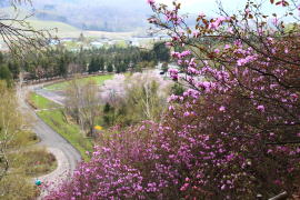 �G�]�����T�L�c�c�W