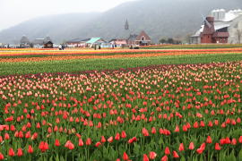 �`���[���b�v�����E����N��