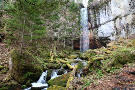 �R�F�̑�E���ې��z