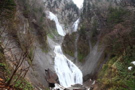 �t�̉H�߂̑�