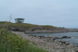 ���̏o���E�Y��