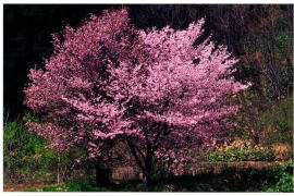 �G�]���}�U�N��