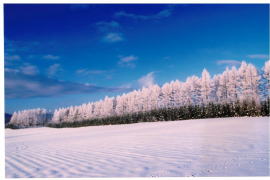 �~�̖h����