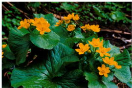 �G�]�m�����E�L���J