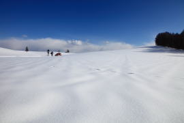 �~�̃����w���̋u