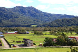 JRA�����琬�q��W�]��