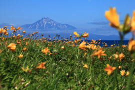 �l�E�m���猩���G�]�J���]�E�Ɨ��K�x�m