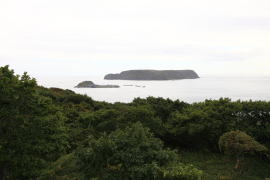 �s���J�E�^�C�݂���̑单��