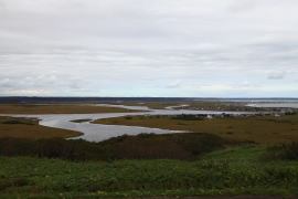 ���i���W�]�䂩��̒��]